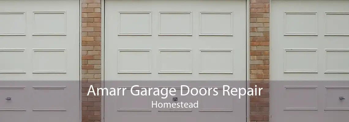 Amarr Garage Doors Repair Homestead