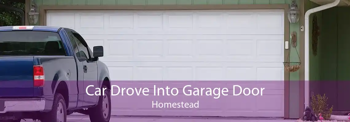 Car Drove Into Garage Door Homestead