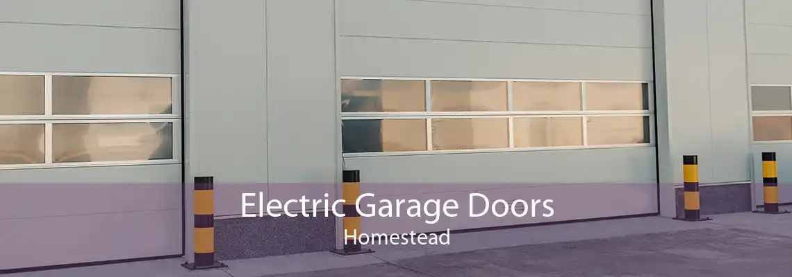 Electric Garage Doors Homestead