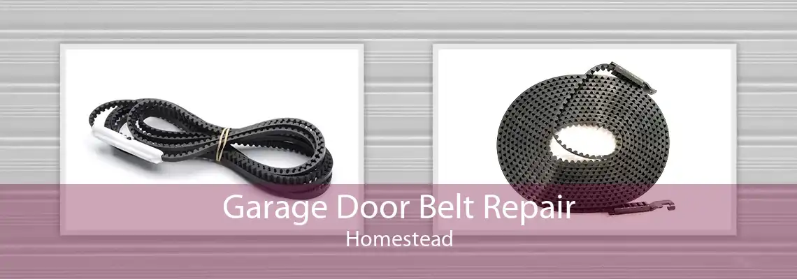 Garage Door Belt Repair Homestead