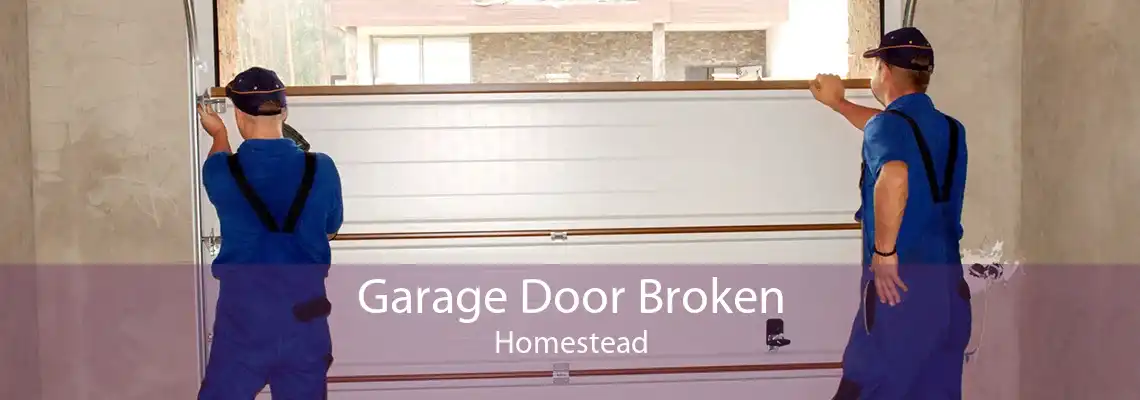 Garage Door Broken Homestead