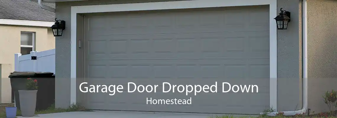 Garage Door Dropped Down Homestead