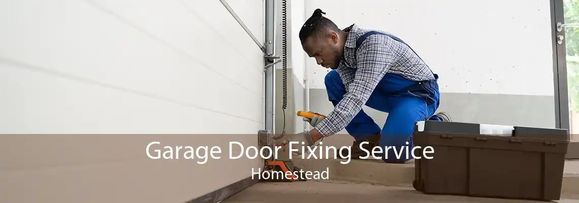 Garage Door Fixing Service Homestead
