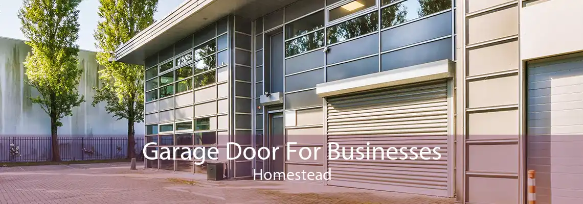 Garage Door For Businesses Homestead