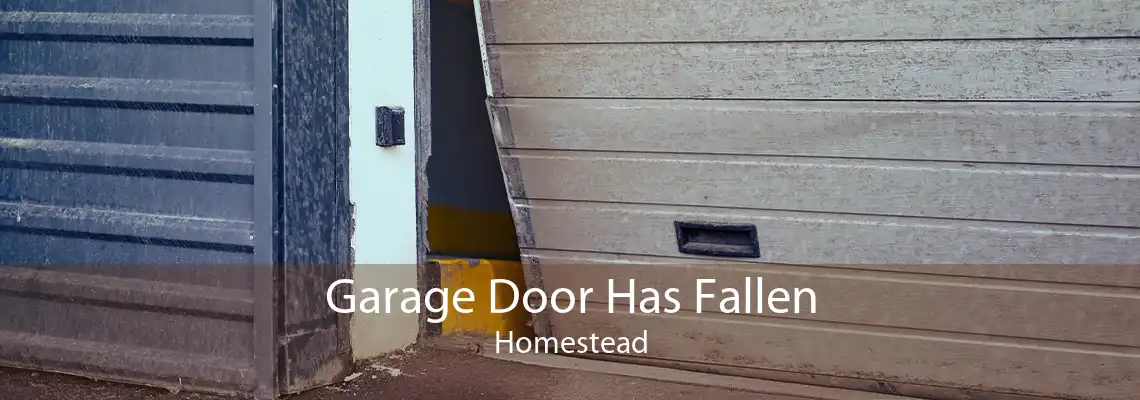Garage Door Has Fallen Homestead