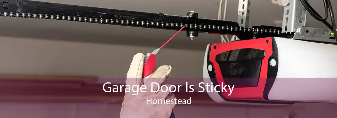Garage Door Is Sticky Homestead