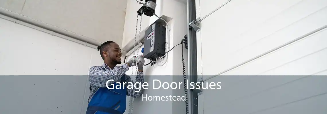 Garage Door Issues Homestead