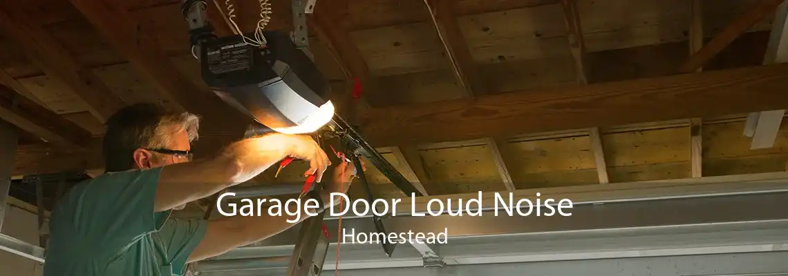 Garage Door Loud Noise Homestead