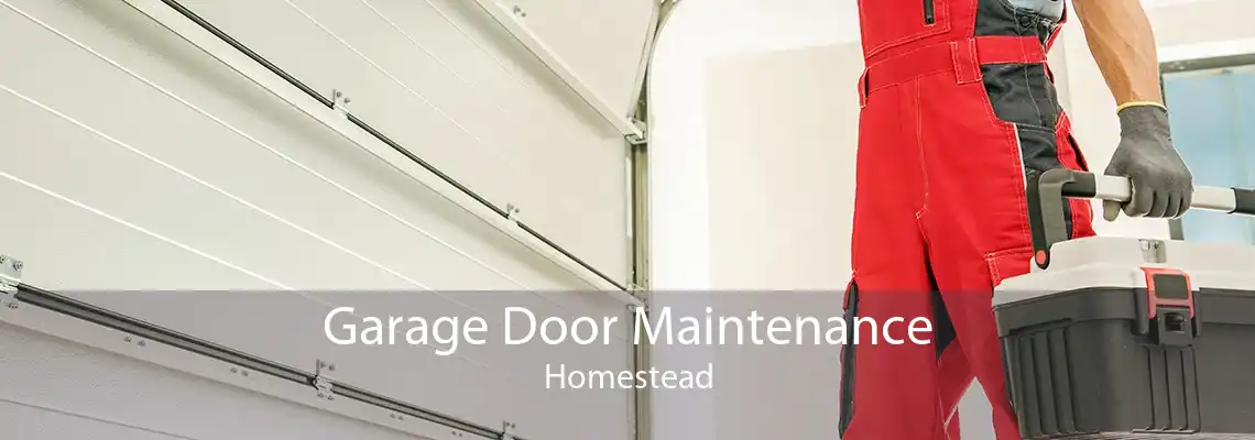 Garage Door Maintenance Homestead