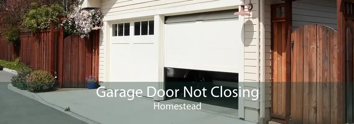 Garage Door Not Closing Homestead
