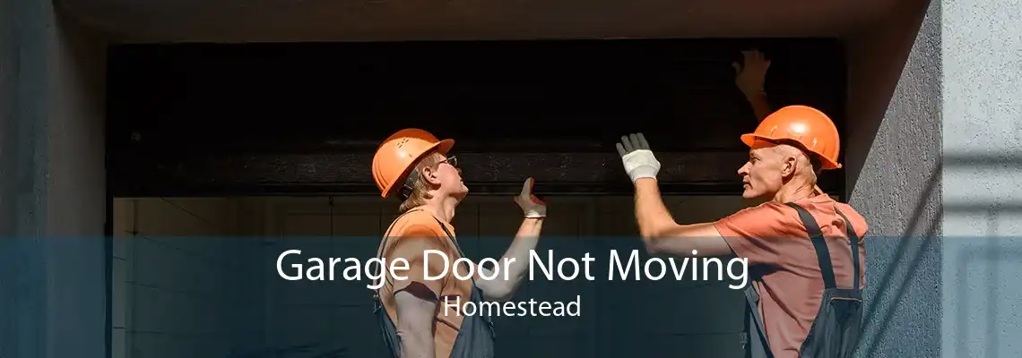 Garage Door Not Moving Homestead