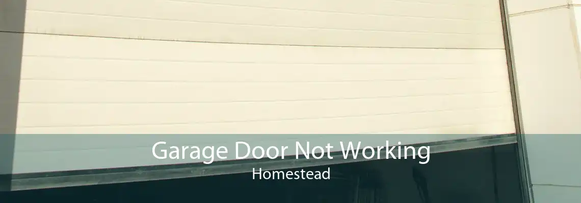 Garage Door Not Working Homestead