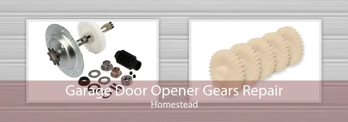 Garage Door Opener Gears Repair Homestead