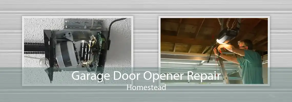 Garage Door Opener Repair Homestead