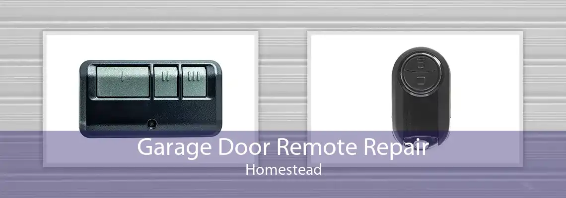 Garage Door Remote Repair Homestead
