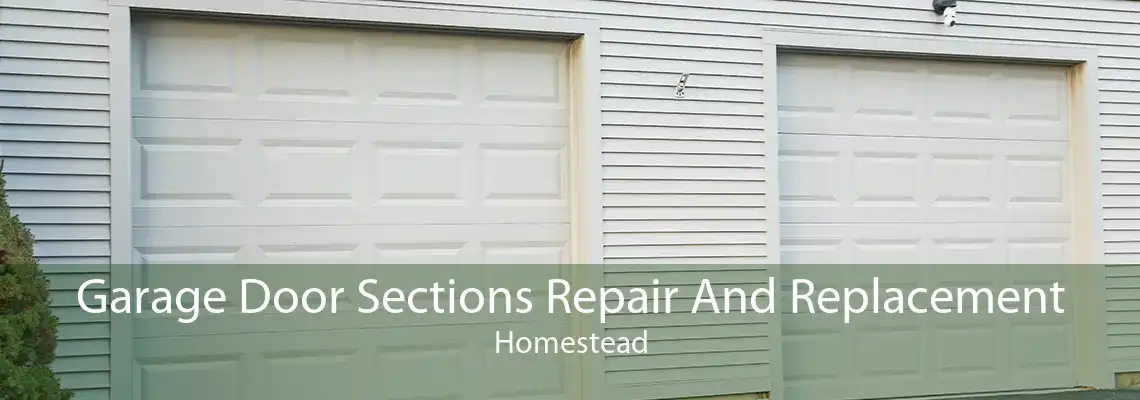 Garage Door Sections Repair And Replacement Homestead