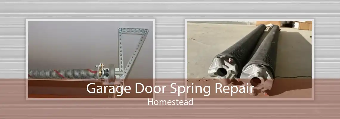 Garage Door Spring Repair Homestead