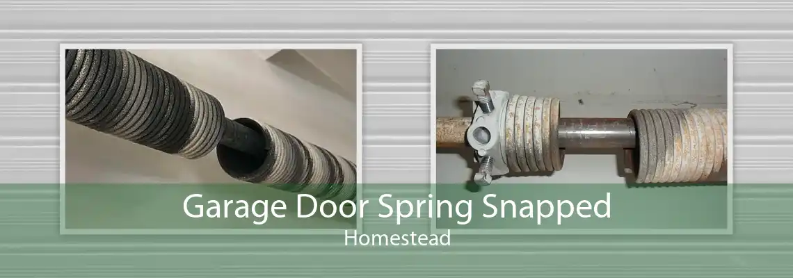 Garage Door Spring Snapped Homestead
