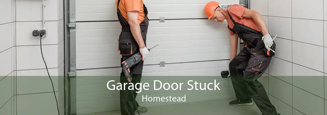 Garage Door Stuck Homestead