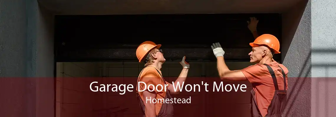Garage Door Won't Move Homestead