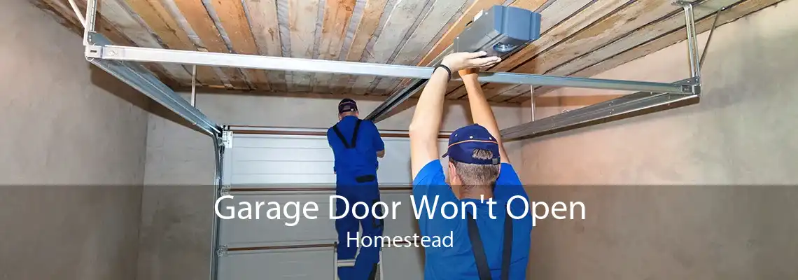 Garage Door Won't Open Homestead