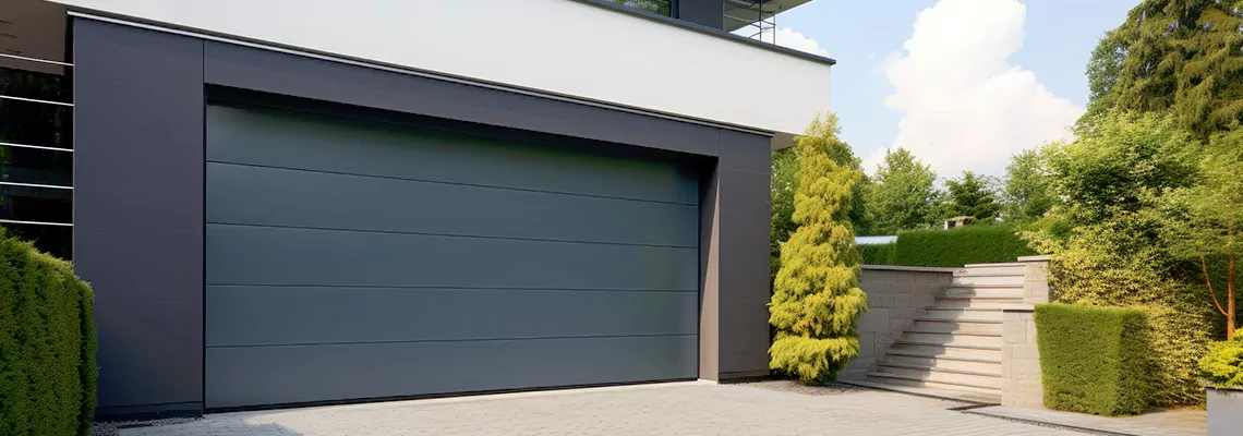 Haas Galvanized Steel Garage Door in Homestead