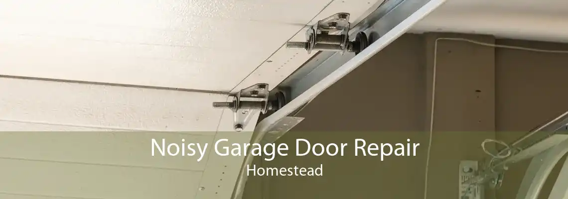 Noisy Garage Door Repair Homestead