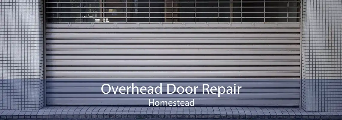 Overhead Door Repair Homestead