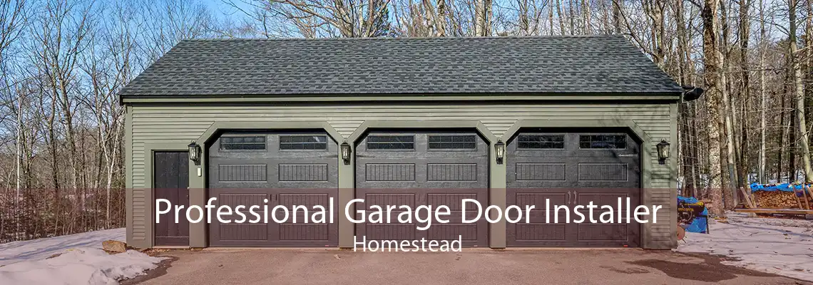 Professional Garage Door Installer Homestead