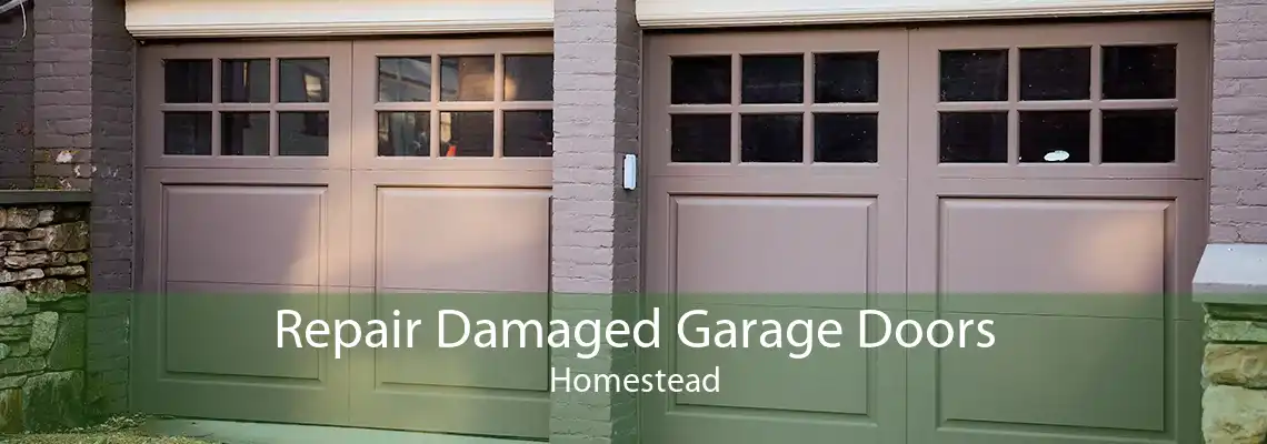 Repair Damaged Garage Doors Homestead