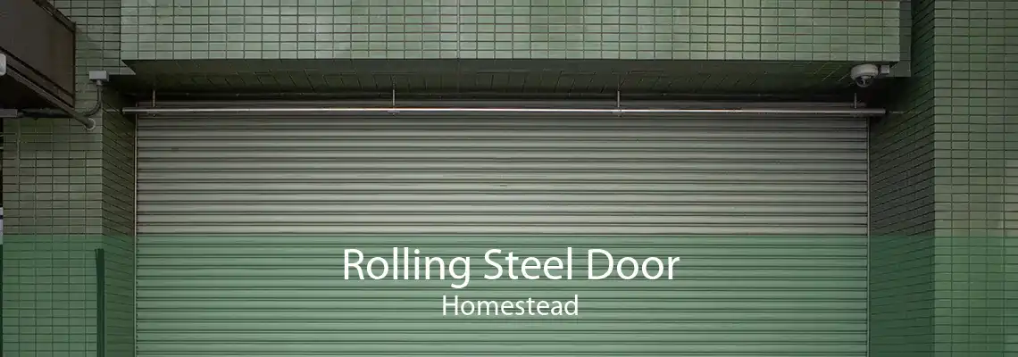 Rolling Steel Door Homestead