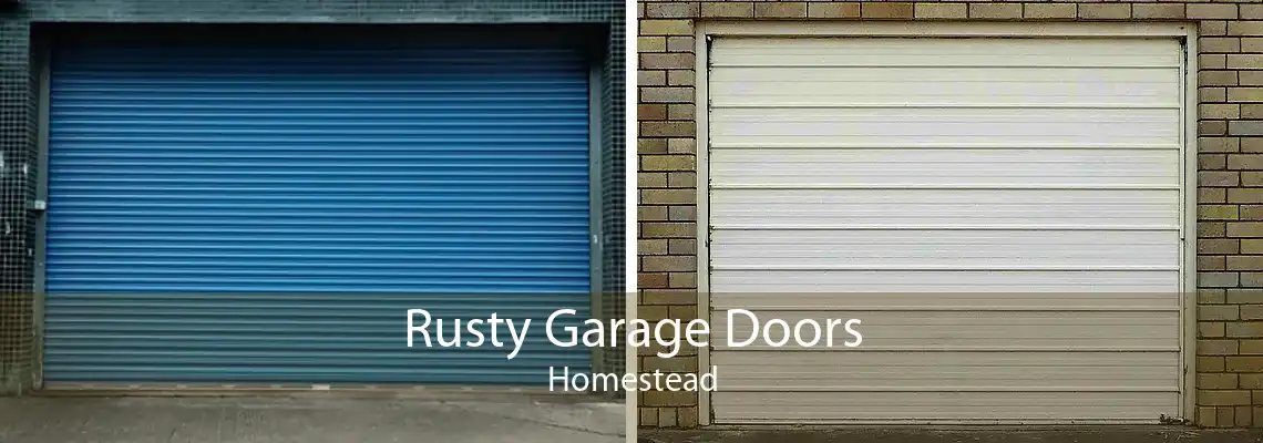Rusty Garage Doors Homestead