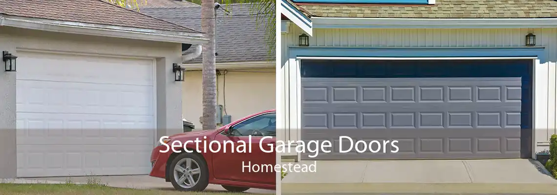 Sectional Garage Doors Homestead