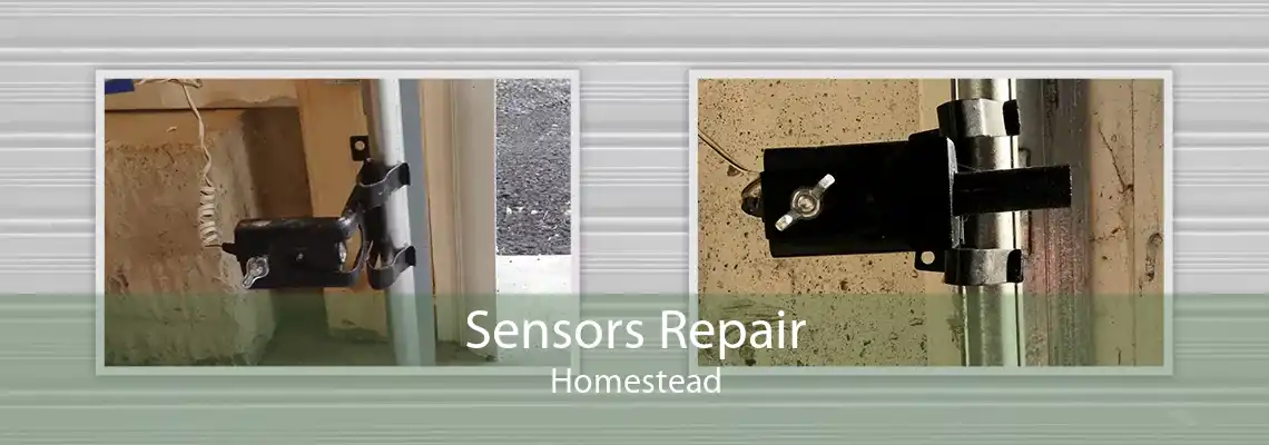 Sensors Repair Homestead